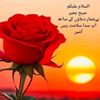 rehman_1620