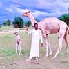 abdallah.mahamat967