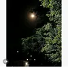 aliemad2631