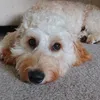 freya_14_14