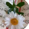 user55361839915704