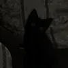 baby_bym2