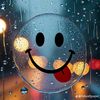 malik567302