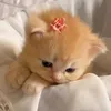 quynh13_th7