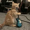 milo_katz
