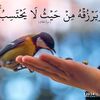 user9830305040366