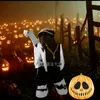 ygoninho_divow