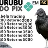 Urubu do pix