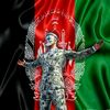 mohammadyounaselh