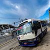 💯BADBUS_TOURS🇯🇲🍃