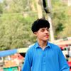 a.waildsafi