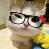 tusgatitos0