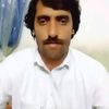 muhammad.zeb319