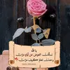 user7761173573095