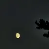 a___25_r
