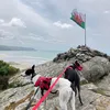 barmouth_greyhounds