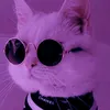 user1490015619590