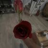 ree_o41