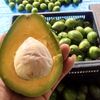 buah_ngebel_