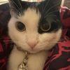 softie.sam_