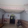 mostafatlemcen206