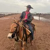 vito do boi