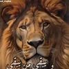 user7705206199607