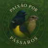 Paixão Por Pássaros