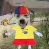 nose.jajaj02