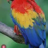 aa_8203