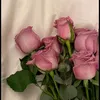 zaree.2711