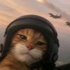 anaussiekid