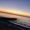 its_livspamm23
