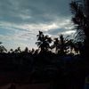 dhanuarto