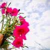 humaun.ahmed05
