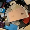 theapplecollector4