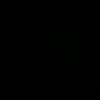 kamilaltinisik1