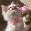 fashionwithaya_