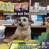 bycher.harlamov