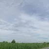 teambaothu_sieuquay