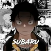sobar3081