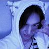 stray_forever7