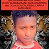 www.dinanoliishetuu