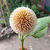 স্বার্থপর দুনিয়ায়