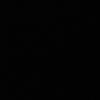 zils_7