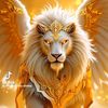 user912968817502