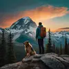 Wild Adventure