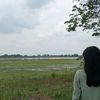 adikk1802