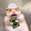 apa_ya777