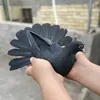 albtat0
